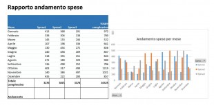 Una tabella di Excel pubblicata come pagina web